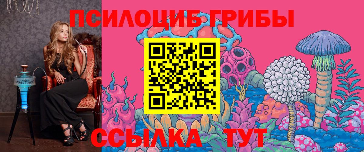 Кизляр  Галлюциногенные грибы Magic Shrooms  Вход с VPN  Галлюциногенные грибы Psilocybine cubensis 