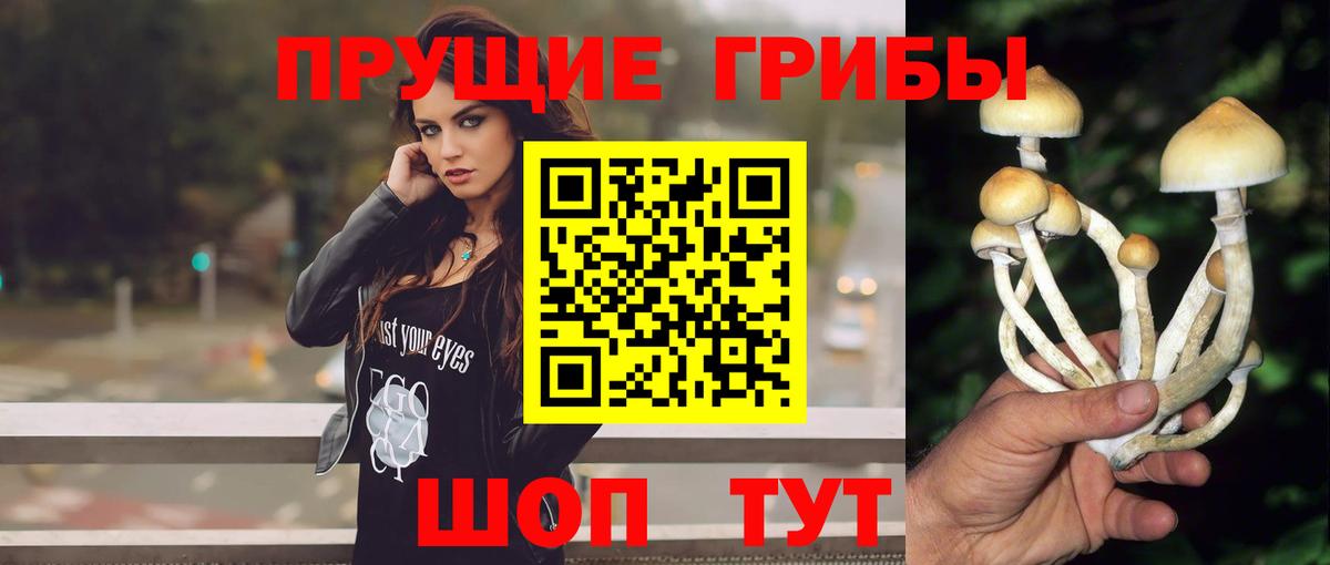 Псилоцибиновые грибы мицелий Кизляр